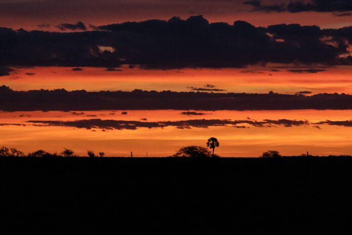 Etosha Namibia