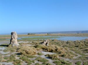 Lake Abbe, Djibouti