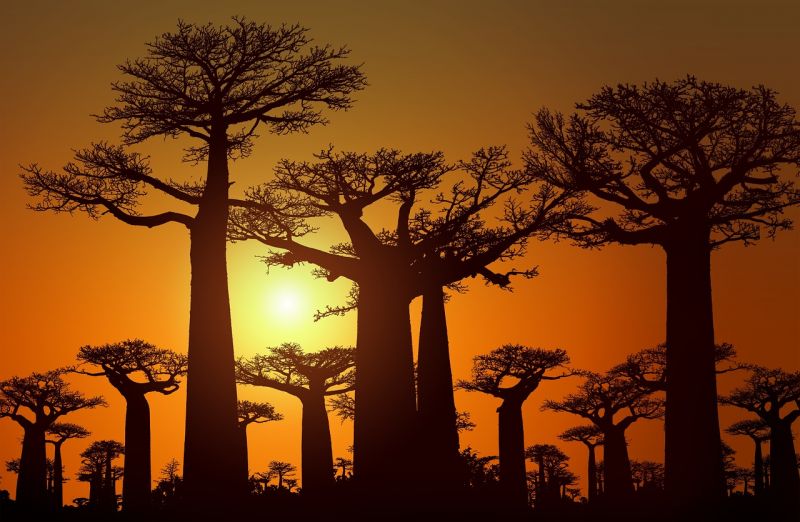 Madagascar sunset