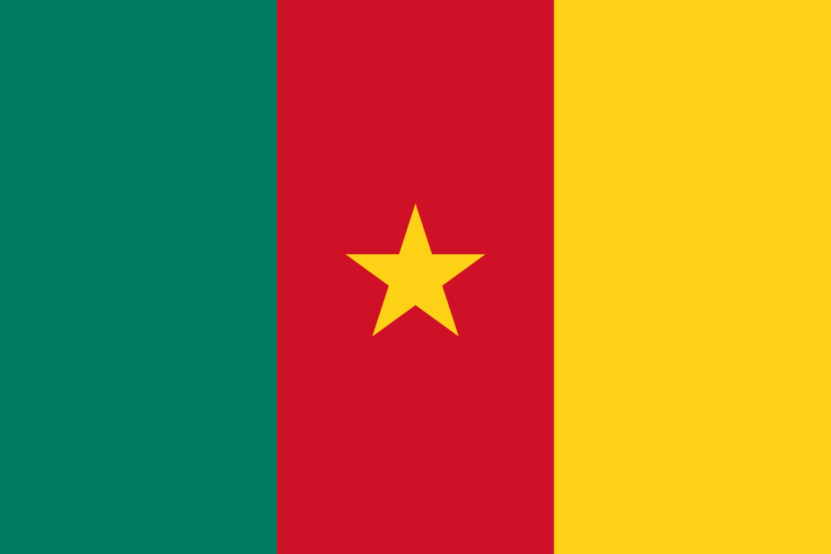 Cameroon flag